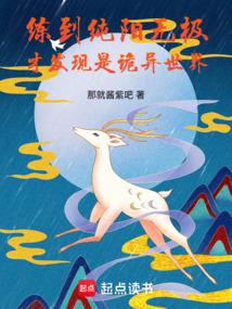 After practicing to the Pure Yang Wuji, I found that it was a strange world