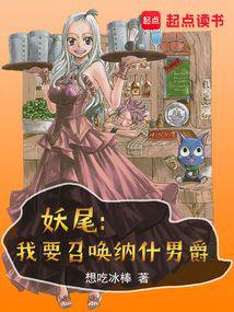 Fairy Tail: I don't want to be the president